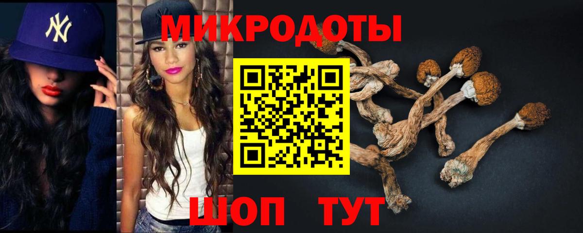 Галлюциногенные грибы мицелий  где купить наркотик  Галлюциногенные грибы ЛСД  Киселёвск  Вход с VPN 